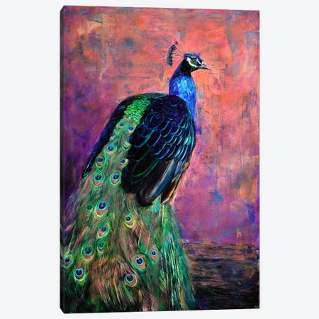 Mr. Sander's Peacock Canvas Print #ANV21} by Anne-Marie Verdel Canvas Wall Art