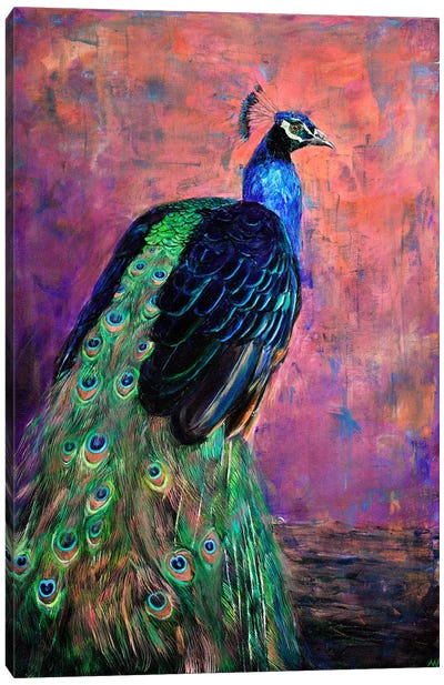 Mr. Sander's Peacock Canvas Art Print - Anne-Marie Verdel