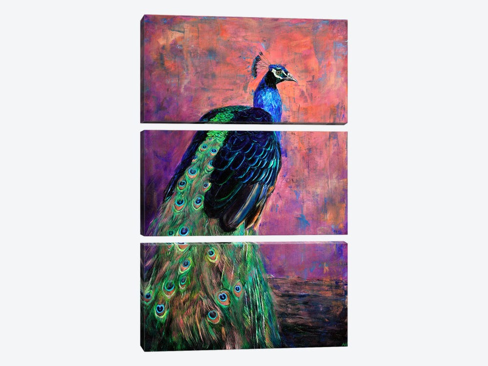 Mr. Sander's Peacock by Anne-Marie Verdel 3-piece Canvas Art Print