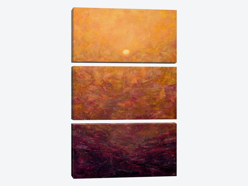 Sandstorm Sunset by Anne-Marie Verdel 3-piece Canvas Wall Art