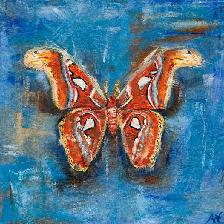 The Atlas Moth