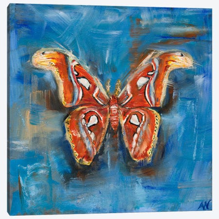 The Atlas Moth Canvas Print #ANV35} by Anne-Marie Verdel Canvas Art