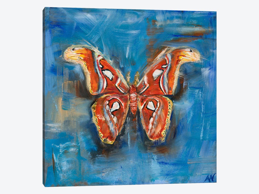 The Atlas Moth by Anne-Marie Verdel 1-piece Canvas Artwork