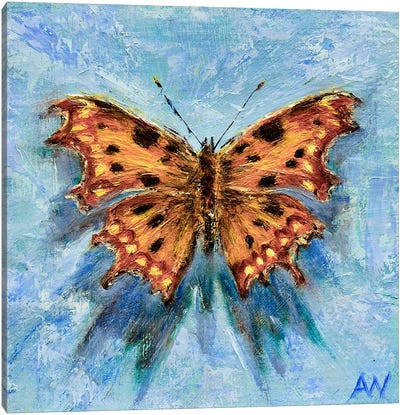 The Comma On Blue Canvas Art Print - Anne-Marie Verdel