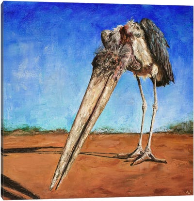 The Friendly Scavenger Canvas Art Print - Pelican Art