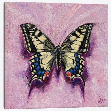 The Old World Swallowtail Canvas Print #ANV47} by Anne-Marie Verdel Canvas Print