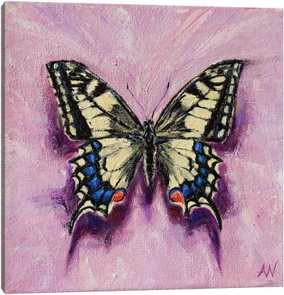 The Old World Swallowtail Canvas Art Print - Anne-Marie Verdel