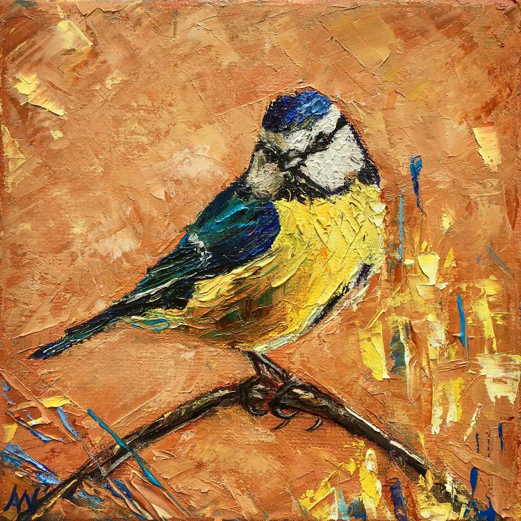 Blue Tit On Orange