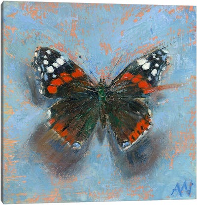 The Red Admiral Canvas Art Print - Anne-Marie Verdel
