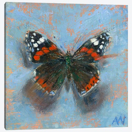 The Red Admiral Canvas Print #ANV50} by Anne-Marie Verdel Art Print
