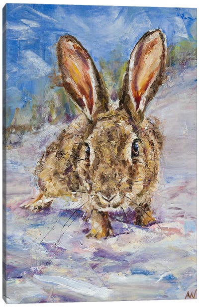 Curious Wild Rabbit Canvas Art Print - Anne-Marie Verdel