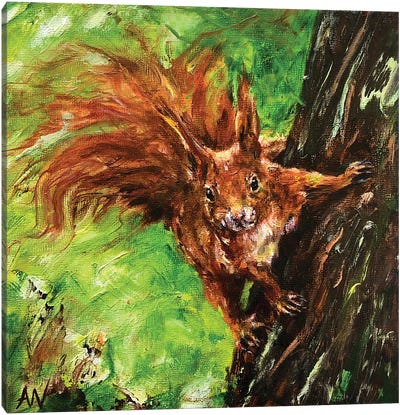 Furry Friend Canvas Art Print - Squirrel Art
