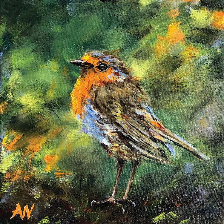 Robin Lights by Anne-Marie Verdel wall art