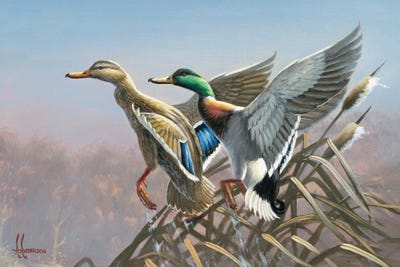 Heading Out Mallards by Anderson Art framed wall art