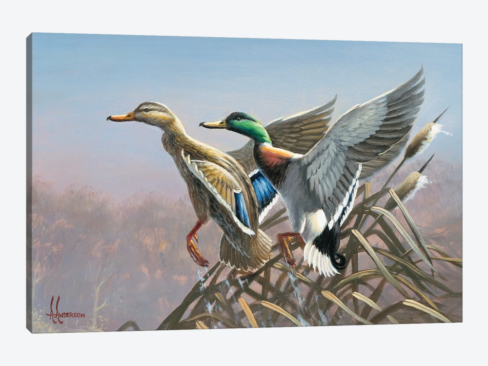 Heading Out Mallards by Anderson Art 1-piece Canvas Art