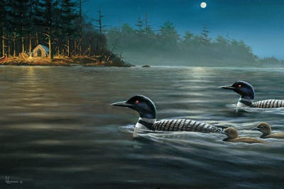 Moonlight Cruise Loons by Anderson Art framed wall art
