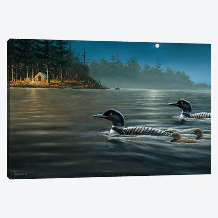 Moonlight Cruise Loons Canvas Print #AOA17} by Anderson Art Canvas Wall Art
