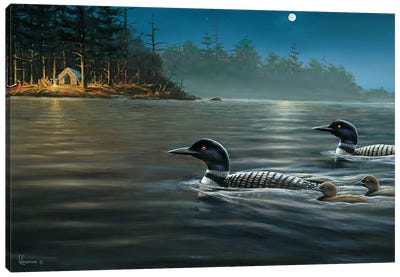 Moonlight Cruise Loons Canvas Art Print - Camping Art