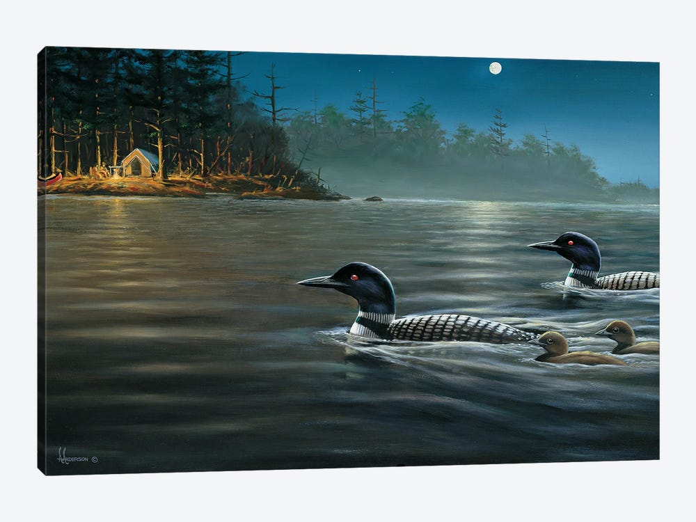 Moonlight Cruise Loons by Anderson Art 1-piece Canvas Artwork