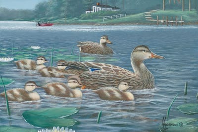 Proud Mom Mallards by Anderson Art framed wall art