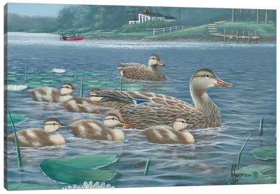Proud Mom Mallards Canvas Art Print - Duck Art