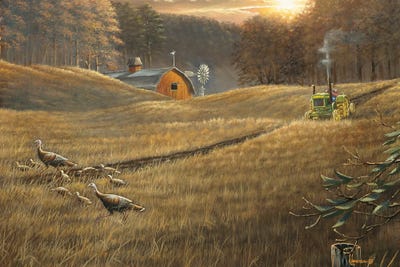 Renewal Tractor And Turkeys by Anderson Art framed wall art