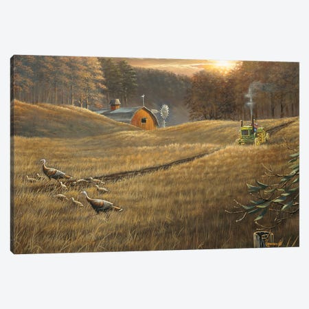 Renewal Tractor And Turkeys Canvas Print #AOA20} by Anderson Art Canvas Art