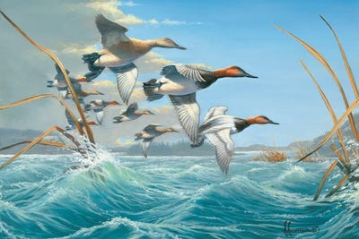 Rough Water Canvasbacks by Anderson Art framed wall art