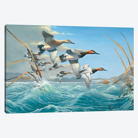 Rough Water Canvasbacks Canvas Print #AOA21} by Anderson Art Canvas Artwork