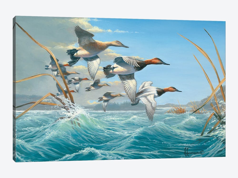 Rough Water Canvasbacks by Anderson Art 1-piece Art Print