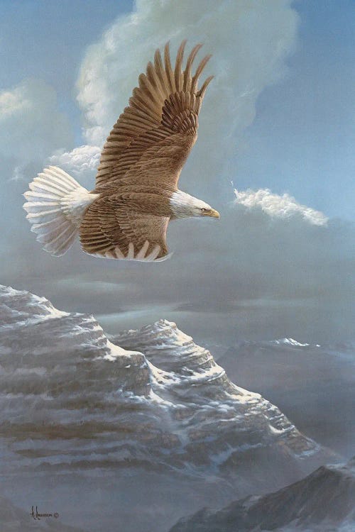 Distressed American Flag Eagle - Horiz - Canvas Artwork