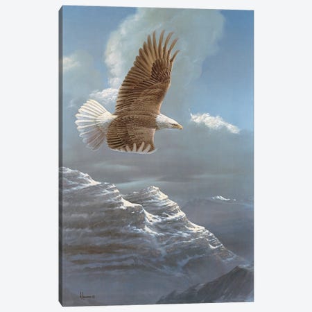 Spacious Skies Bald Eagle Canvas Print #AOA23} by Anderson Art Canvas Art