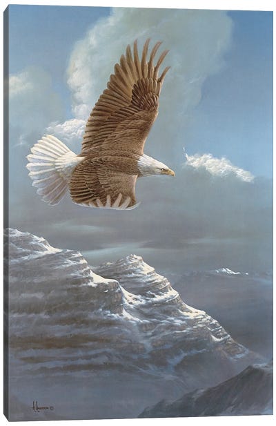 Spacious Skies Bald Eagle Canvas Art Print - Snowy Mountain Art