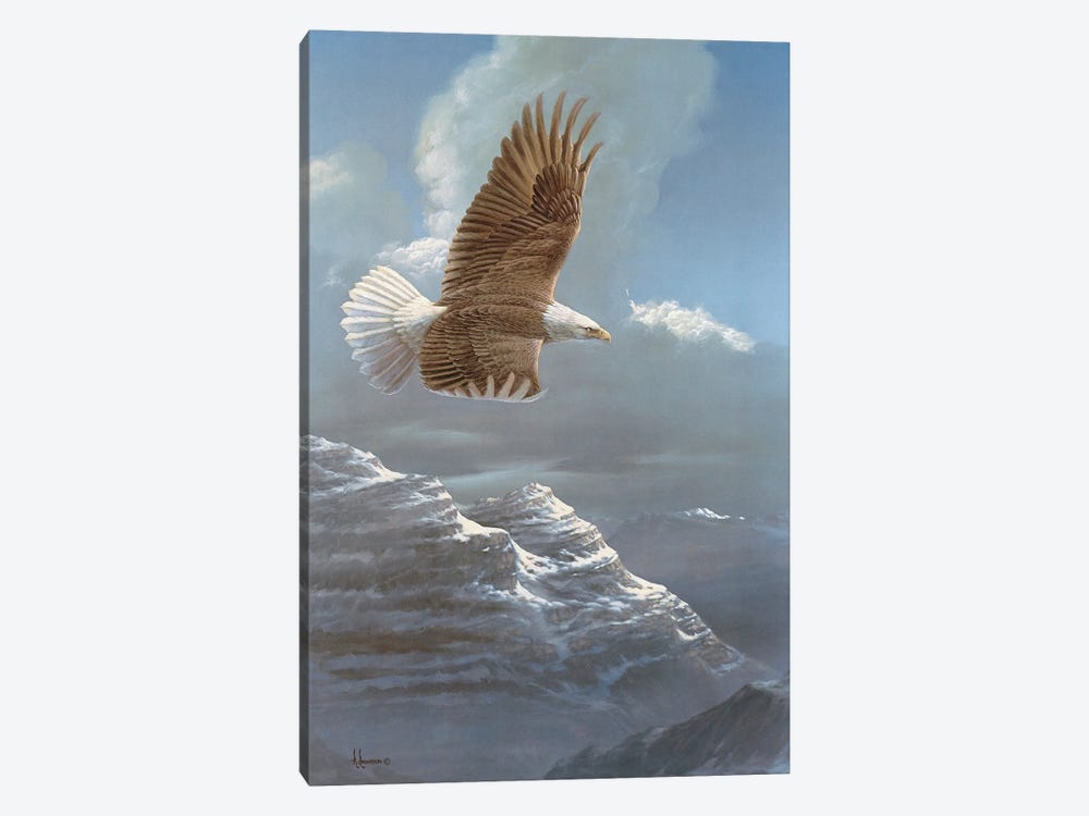 Spacious Skies Bald Eagle by Anderson Art 1-piece Canvas Art Print