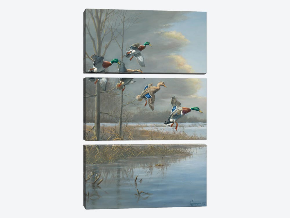 Storm Front Mallards by Anderson Art 3-piece Canvas Wall Art