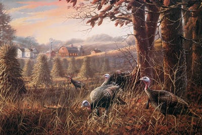 The Homestead Turkeys by Anderson Art framed canvas print