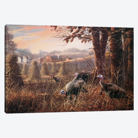 The Homestead Turkeys Canvas Print #AOA25} by Anderson Art Art Print