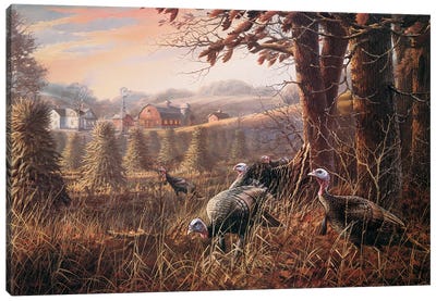 The Homestead Turkeys Canvas Art Print - Anderson Art