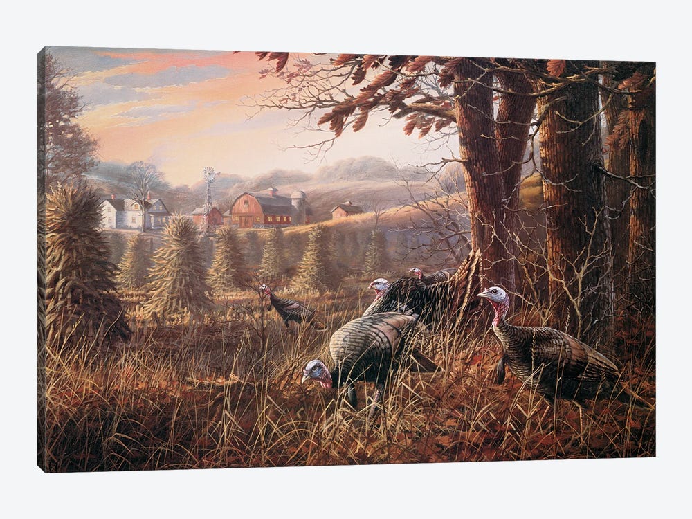The Homestead Turkeys by Anderson Art 1-piece Canvas Art Print