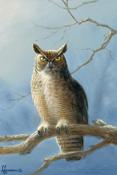 The Lookout Owl by Anderson Art canvas print