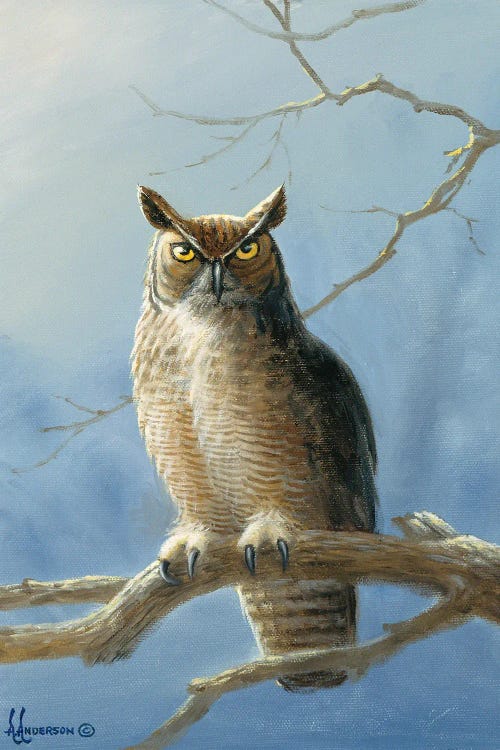 The Lookout Owl