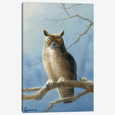 The Lookout Owl Canvas Print #AOA26} by Anderson Art Art Print