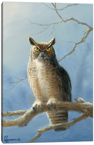 The Lookout Owl Canvas Art Print - Anderson Art