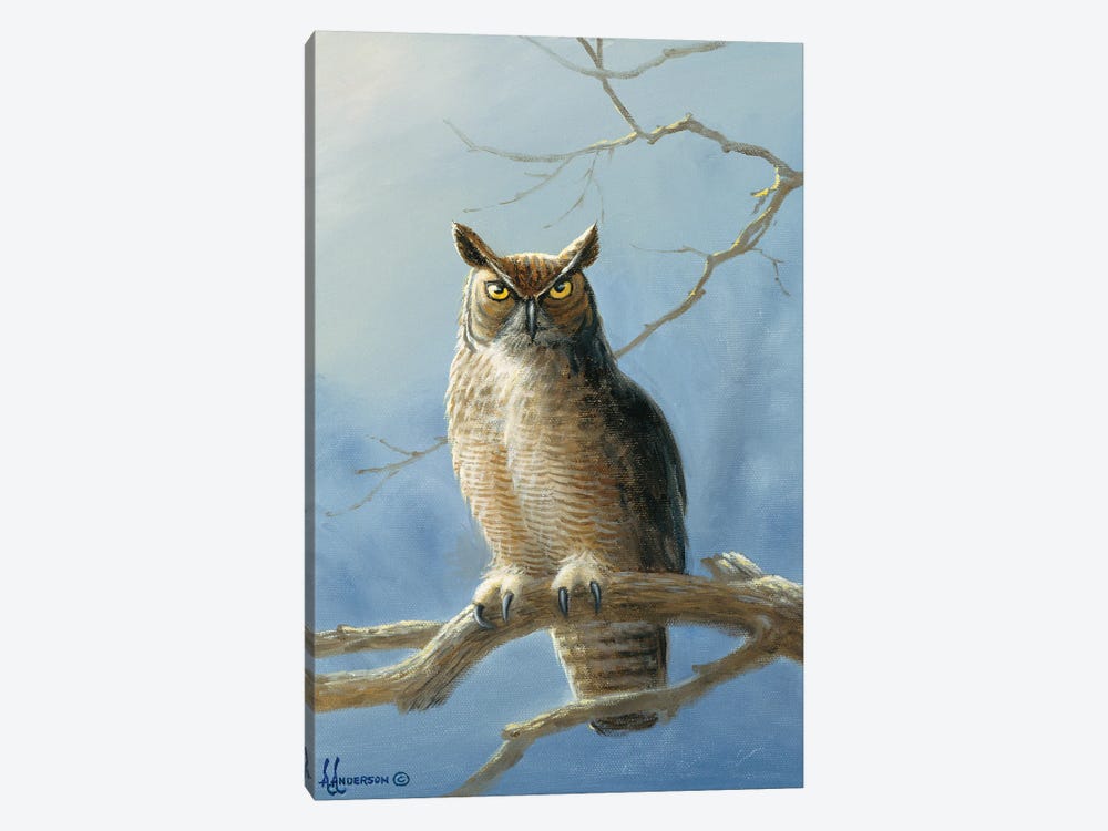 The Lookout Owl by Anderson Art 1-piece Canvas Artwork
