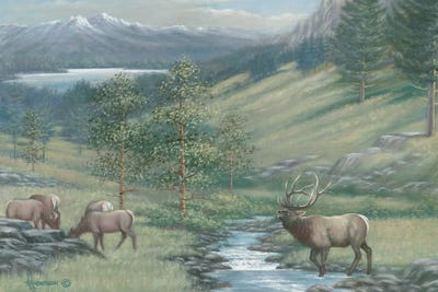 The Mountain Stream Elk by Anderson Art framed wall art