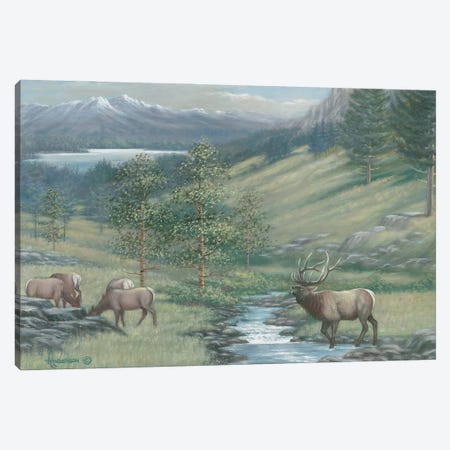 The Mountain Stream Elk Canvas Print #AOA27} by Anderson Art Art Print