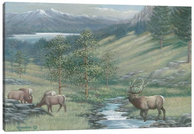 The Mountain Stream Elk Canvas Art Print - Elk Art