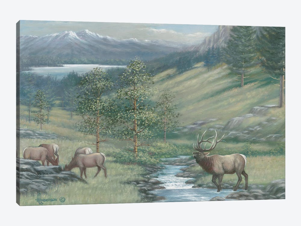 The Mountain Stream Elk by Anderson Art 1-piece Art Print