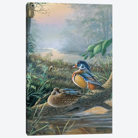 The Nesters Wood Ducks Canvas Print #AOA28} by Anderson Art Canvas Artwork
