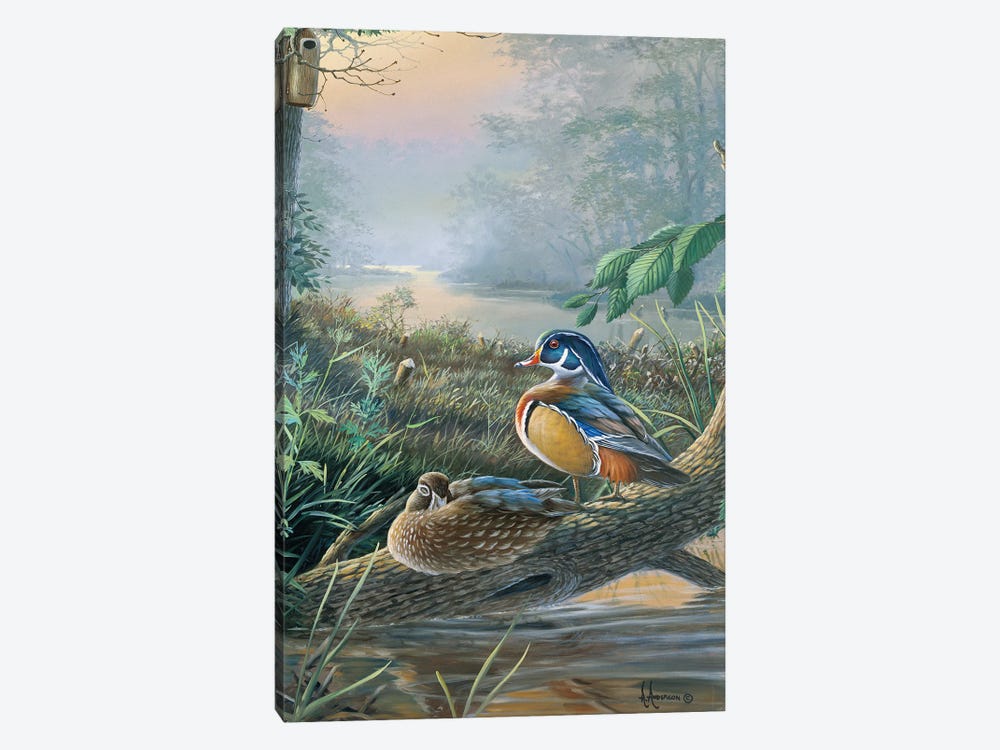 The Nesters Wood Ducks by Anderson Art 1-piece Canvas Artwork